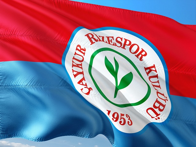 伦萨门将的 伦萨门将的