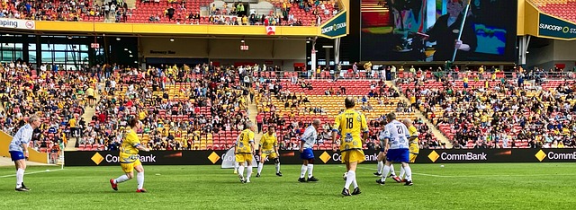 迷关注的焦 迷关注的焦