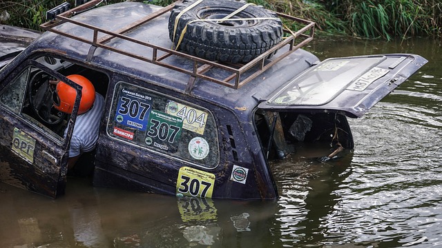 還需要能迅 還需要能迅