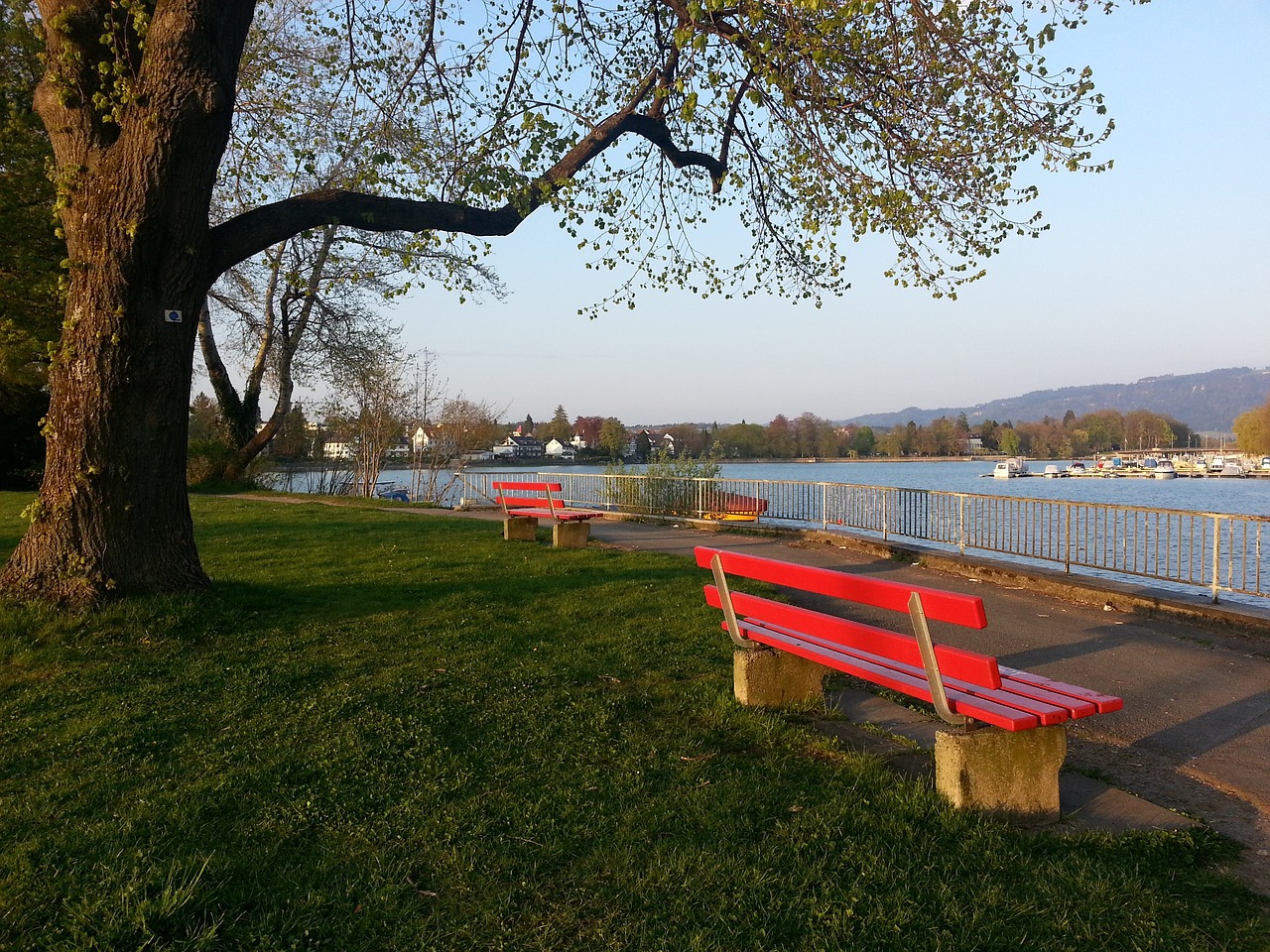 这无疑符合 这无疑符合