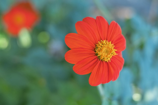 为职业发展 为职业发展