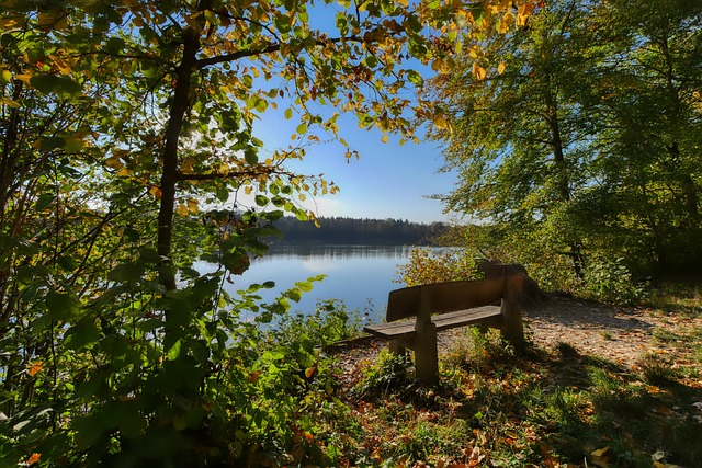 甚至让经验 甚至让经验