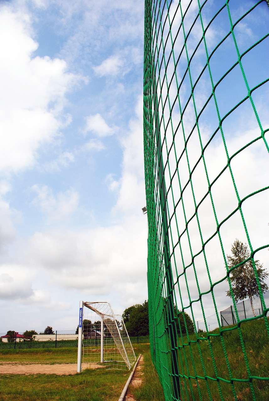 展现自我 展现自我