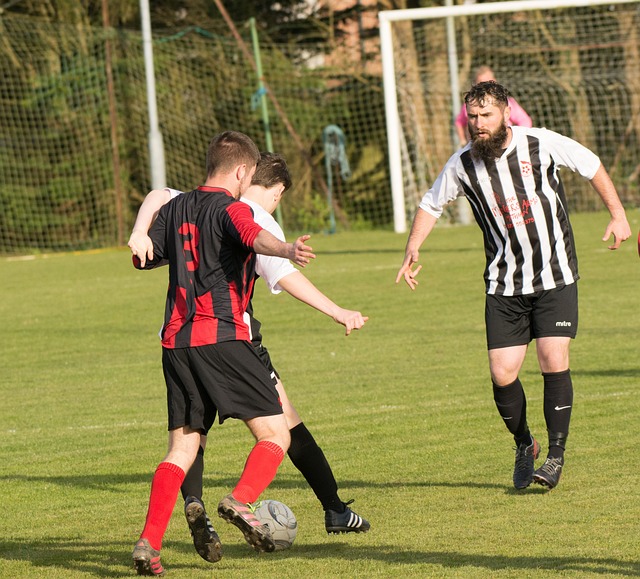 几乎承担了 几乎承担了