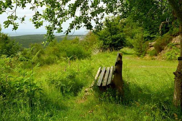 不复存在 不复存在