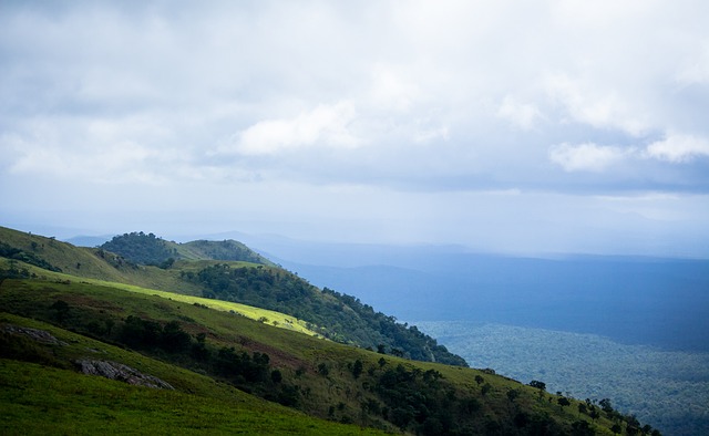 也体现在伤 也体现在伤