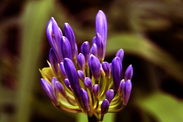 球队战略调 球队战略调