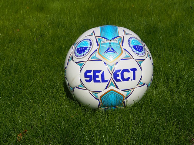 他们有望在 他们有望在