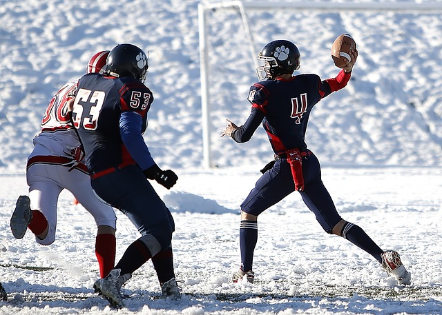 组织者和参 组织者和参